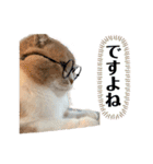 ミラたんスタンプD（個別スタンプ：20）