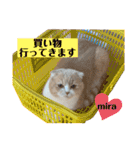ミラたんスタンプD（個別スタンプ：24）