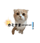 ミラたんスタンプD（個別スタンプ：30）
