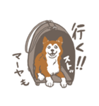 マーヤの保護犬応援スタンプ（個別スタンプ：5）