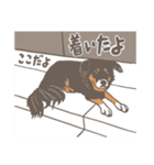 マーヤの保護犬応援スタンプ（個別スタンプ：36）