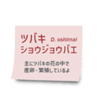 いろんなショウジョウバエ2（個別スタンプ：16）