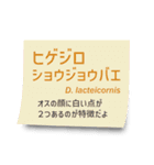 いろんなショウジョウバエ2（個別スタンプ：20）