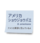 いろんなショウジョウバエ2（個別スタンプ：28）