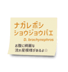 いろんなショウジョウバエ2（個別スタンプ：32）