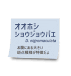 いろんなショウジョウバエ2（個別スタンプ：34）