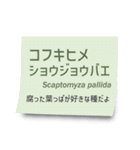 いろんなショウジョウバエ2（個別スタンプ：38）