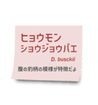 いろんなショウジョウバエ2（個別スタンプ：40）