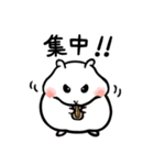 ハムスターみっちゃんのかわいいスタンプ（個別スタンプ：2）