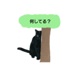 ブラックキャットスタンプ（個別スタンプ：1）