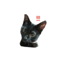 ブラックキャットスタンプ（個別スタンプ：2）