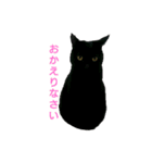 ブラックキャットスタンプ（個別スタンプ：3）