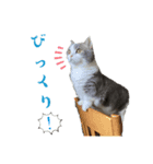 アムのひとこと2（個別スタンプ：1）