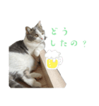 アムのひとこと2（個別スタンプ：4）