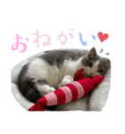 アムのひとこと2（個別スタンプ：6）