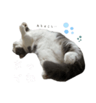 アムのひとこと2（個別スタンプ：8）