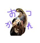 喜怒哀楽の激しい犬様との日常part3（個別スタンプ：23）