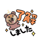 柴犬ふう太のLINEスタンプ（個別スタンプ：5）