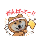 柴犬ふう太のLINEスタンプ（個別スタンプ：6）