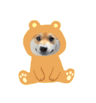 柴犬ふう太のLINEスタンプ（個別スタンプ：19）