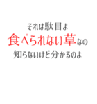 【じゃじゃ馬姐さん】スタンプ（個別スタンプ：30）