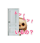 キュート番犬（個別スタンプ：9）