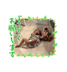 みつちゃんの癒されスタンプ（個別スタンプ：35）