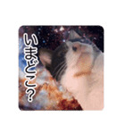 宇宙ミンちゃんスタンプ（個別スタンプ：9）