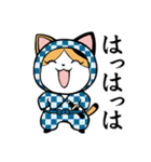 ねこ忍者 和柄衆（個別スタンプ：7）