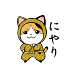 ねこ忍者 和柄衆（個別スタンプ：13）