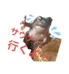 うららかな日常（個別スタンプ：1）