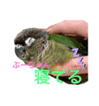 うららかな日常（個別スタンプ：2）
