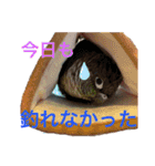 うららかな日常（個別スタンプ：7）