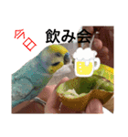 うららかな日常（個別スタンプ：8）