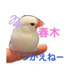 うららかな日常（個別スタンプ：9）