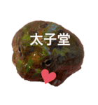 うららかな日常（個別スタンプ：12）
