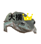 うららかな日常（個別スタンプ：13）