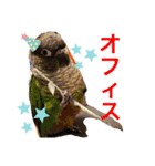 うららかな日常（個別スタンプ：14）