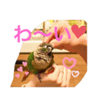 うららかな日常（個別スタンプ：17）