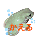 うららかな日常（個別スタンプ：20）