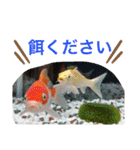 うららかな日常（個別スタンプ：21）