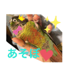 うららかな日常（個別スタンプ：23）