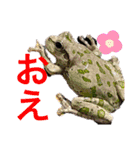 うららかな日常（個別スタンプ：24）