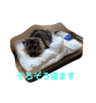 くうもこ4（個別スタンプ：8）