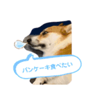 くうもこ4（個別スタンプ：9）