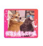 くうもこ4（個別スタンプ：13）