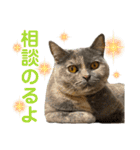 フクちゃんと一緒☆（個別スタンプ：1）
