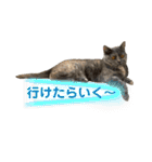 フクちゃんと一緒☆（個別スタンプ：2）