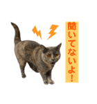 フクちゃんと一緒☆（個別スタンプ：3）