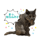 フクちゃんと一緒☆（個別スタンプ：4）